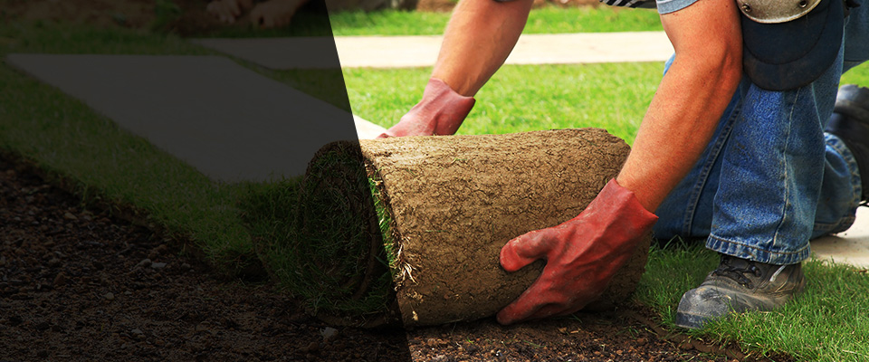 Seagrove Landscapers